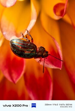 IMG_20250625_185215.jpg
