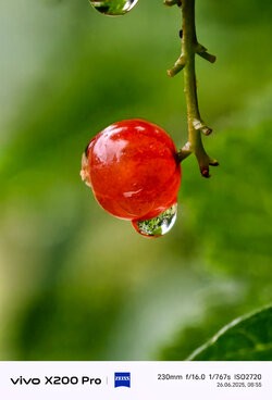 IMG_20250626_085533.jpg