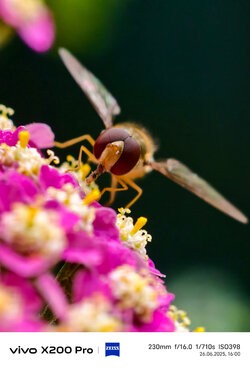 IMG_20250626_160018.jpg
