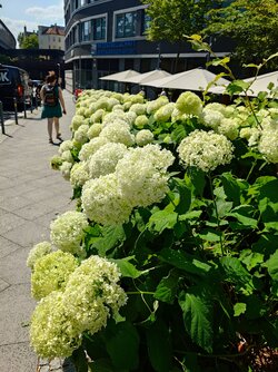 20250626_150054040.JPG