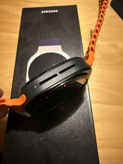 IMG_0081.jpeg