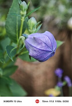 IMG_20250626_182023.jpeg