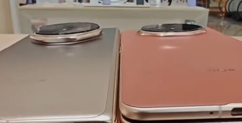 1000050094.jpg