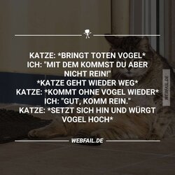 post2.jpg