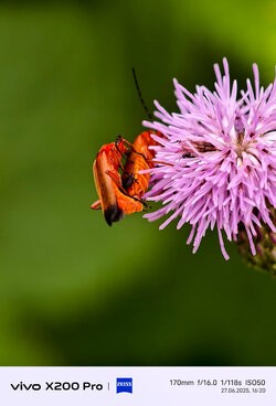 IMG_20250627_162026.jpg