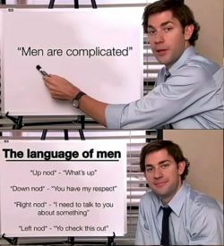 Unbenannt.PNG
