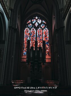 1000040890.jpg