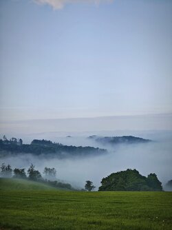 IMG_20250627_144554.jpg