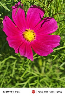 IMG_20250626_180017.jpeg