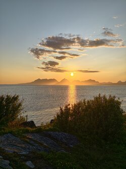IMG_20250627_234135.jpg