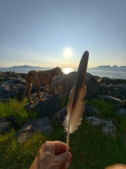 IMG_20250627_205916.jpg