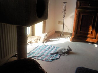 Foto0116.jpg