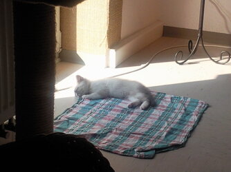Foto0118.jpg
