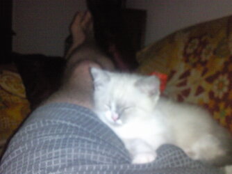 Foto0111.jpg