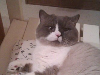 IMAG0023-1.jpg