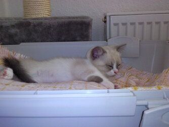 Foto0113.jpg