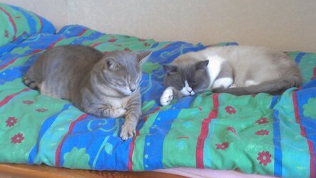IMAG0107.jpg