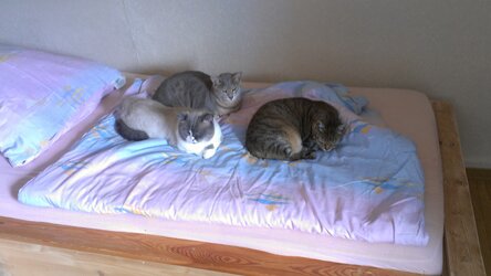 IMAG0139.jpg