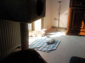 Foto0117.jpg