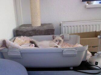 Foto0112.jpg