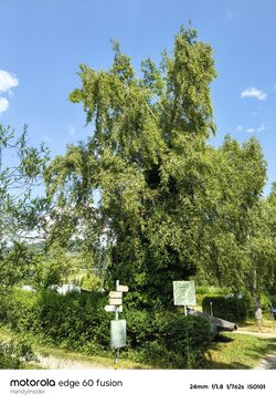IMG_20250623_104404575_HDR.jpg
