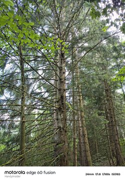 IMG_20250623_105301997_HDR.jpg