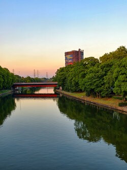 IMG_20250628_213117.jpg