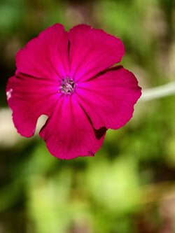 IMG_20250628_134628.jpg