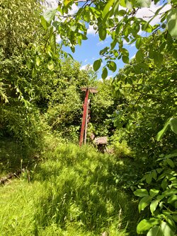 IMG_20250628_134820.jpg