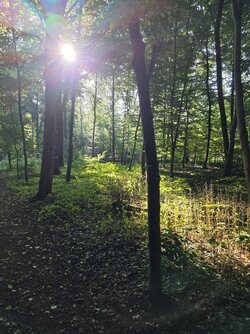 20250629_081601.jpg