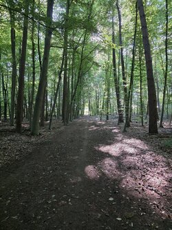 20250629_083213.jpg