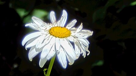 20250629-104830-020HX5a.jpg