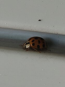 IMG20250629133252~2.jpg