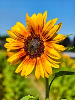 IMG_20250629_104716.jpg