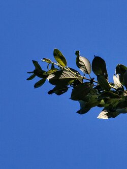 IMG20250629175632~2.jpg