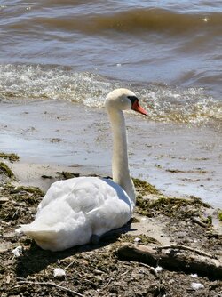 IMG_20250629_132443.jpg