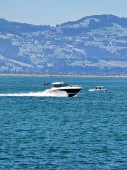 IMG_20250629_155206.jpg