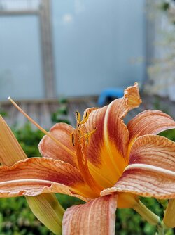 IMG20250629200734~2.jpg