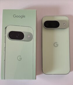 IMG_2935.jpeg