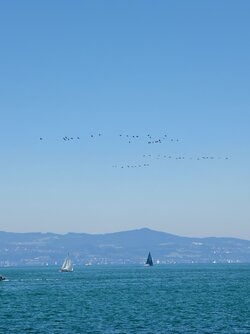 IMG_20250629_113623.jpg