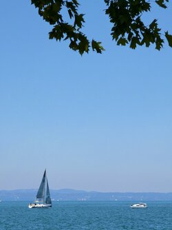 IMG_20250629_113143.jpg