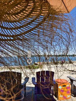 IMG_20250629_111924.jpg