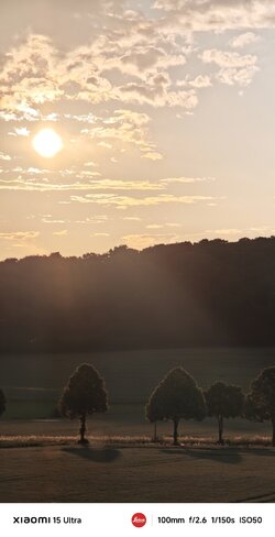 IMG_20250629_202040.jpg