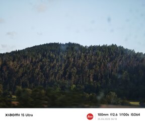 IMG_20250625_061839.jpg
