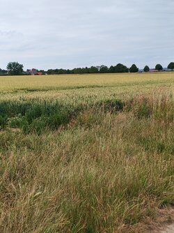 IMG_20250627_194818.jpg