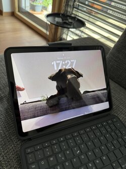 IMG_1630.jpeg