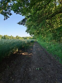 20250630_181751776.JPG