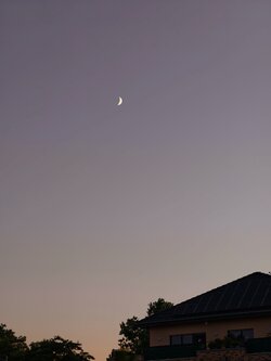 IMG_20250630_221247.jpg