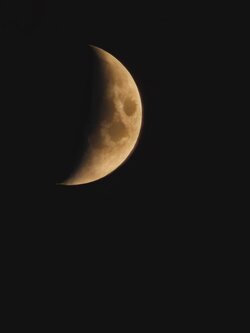 IMG_20250630_221402.jpg