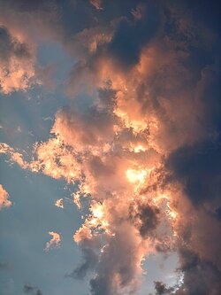 IMG20250630210010~2.jpg